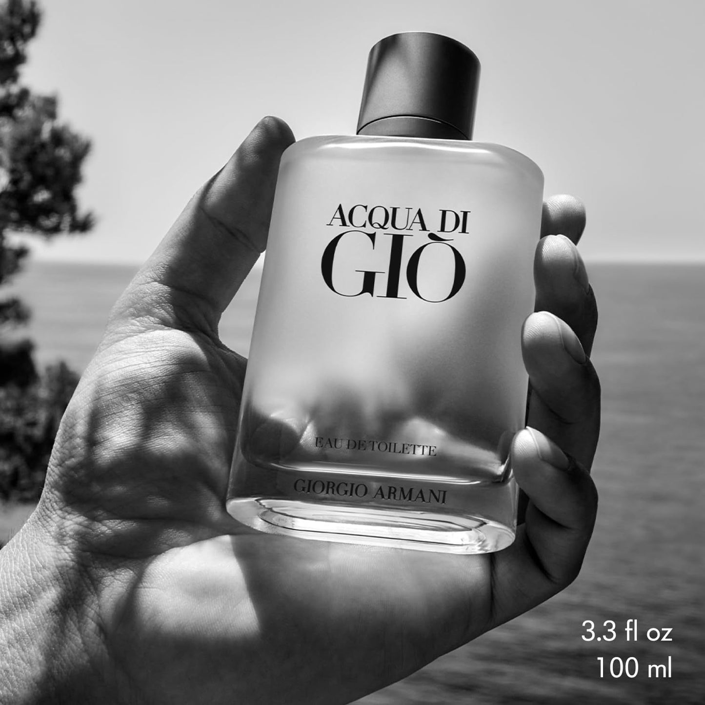 Armani Acqua di Giò